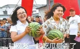 吃瓜追星娱乐,吃瓜追星，娱乐至上