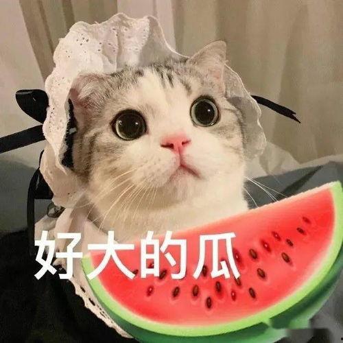 娱乐吃瓜君吐槽刘二豆,刘二豆形象再受冲击
