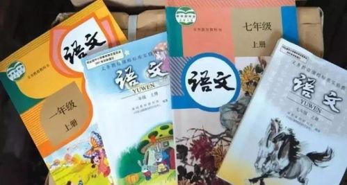 娱乐吃瓜酱好书推荐,解锁心灵深处的阅读之旅