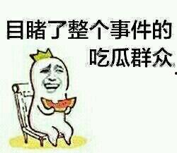 为了吃瓜我进娱乐圈了,我的跨界之旅