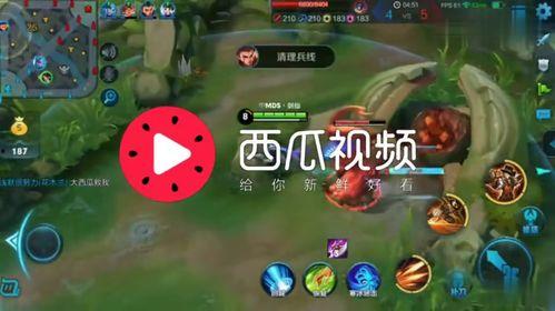 娱乐吃瓜背景音乐推荐大全,娱乐吃瓜必备！盘点热门背景音乐推荐大全