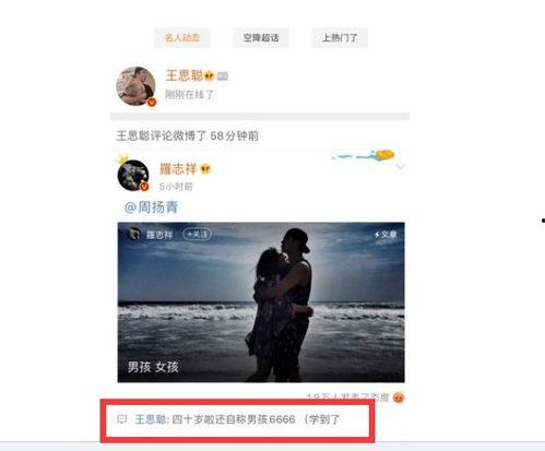 娱乐吃瓜开场白怎么说,揭秘明星幕后故事，吃瓜群众狂欢时刻