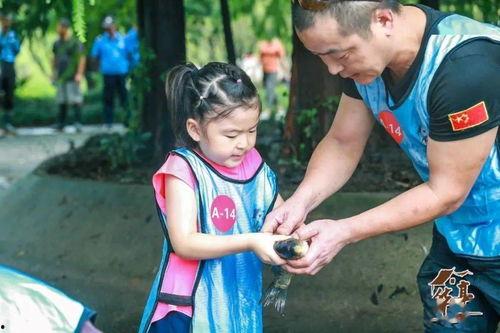 娱乐吃瓜摸鱼,摸鱼时光里的娱乐揭秘